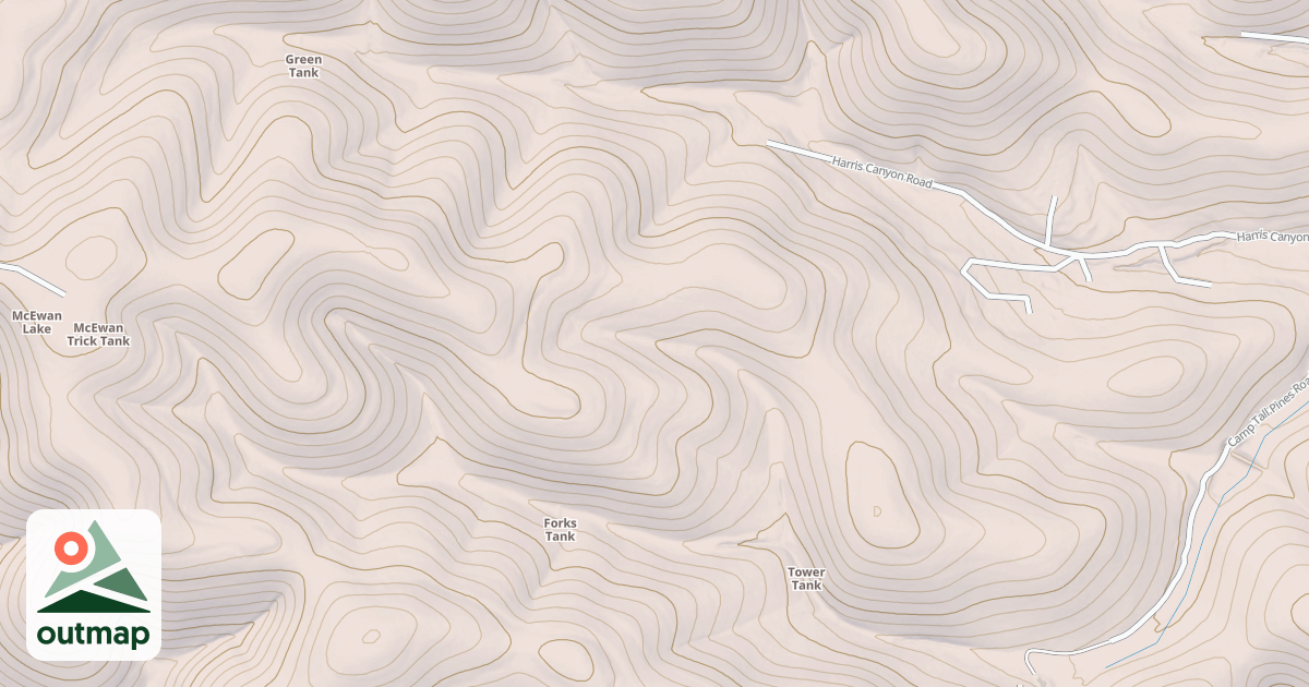 Map of CHRISTMAS TREE