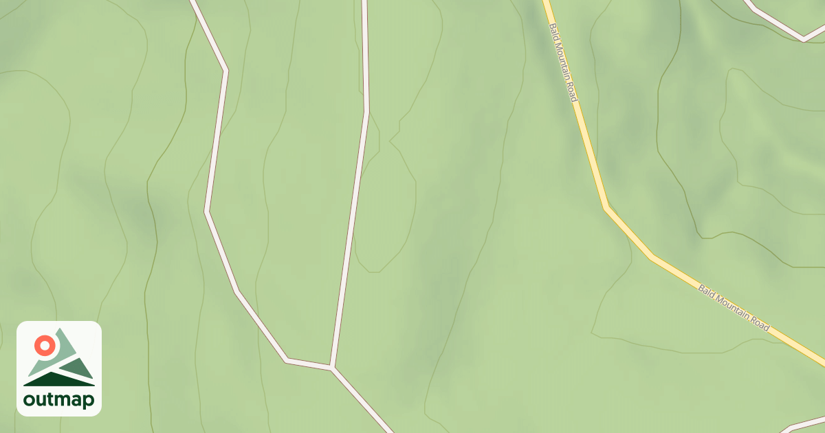 Map of Mutant Ferns