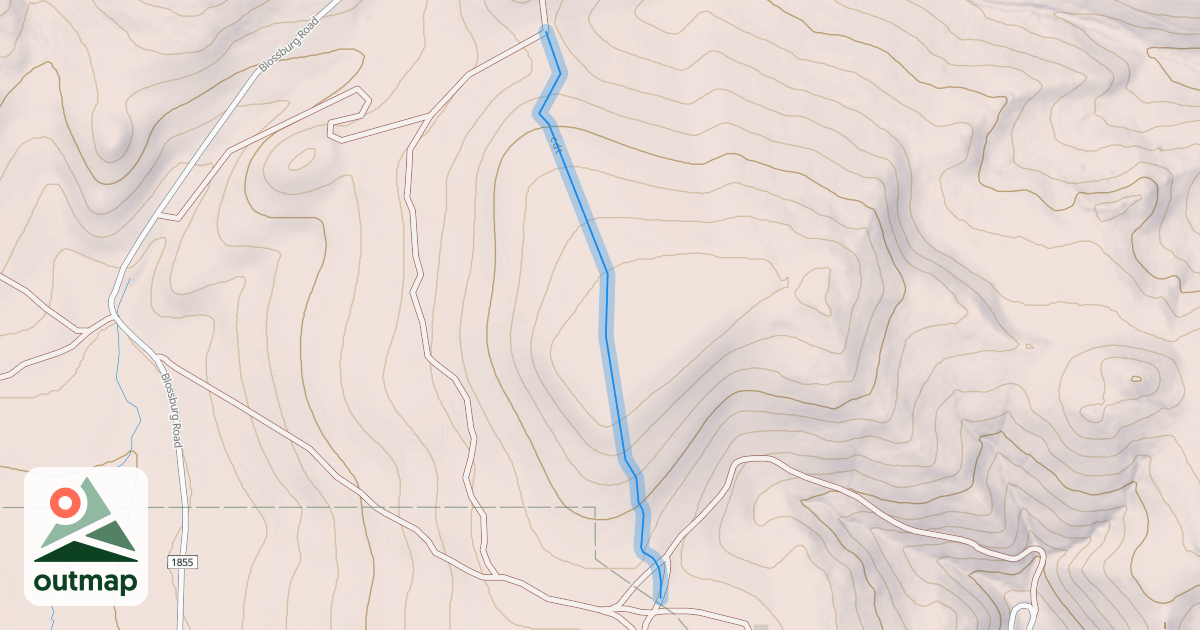 Map of cdt