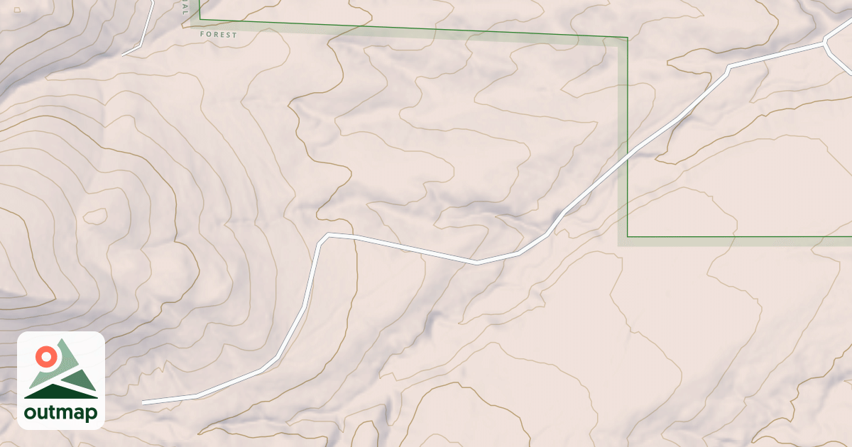 Map of USFS National Forest System Roads {1F46C117-AF7F-4AB9-BC2E-2D8E24F3EDBF}