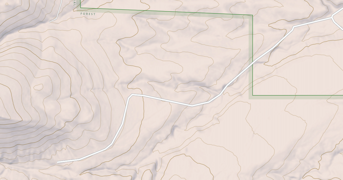 Map preview of USFS National Forest System Roads {1F46C117-AF7F-4AB9-BC2E-2D8E24F3EDBF}