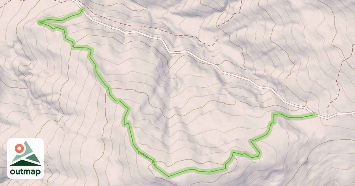 Map of FigaRider 2017