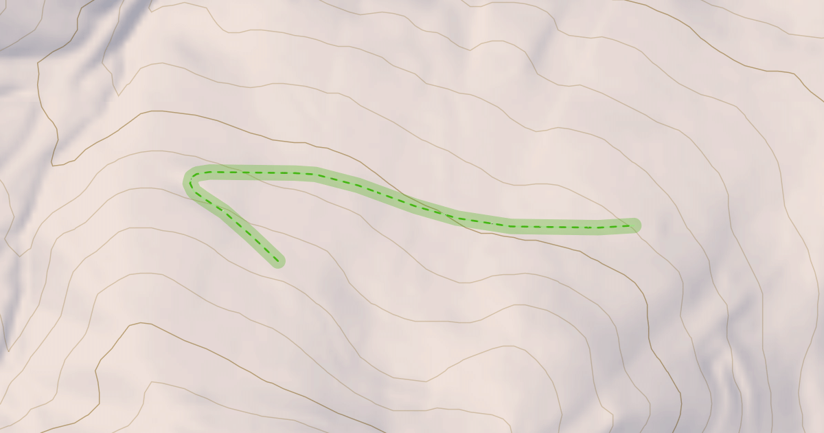 Map preview of Pollo