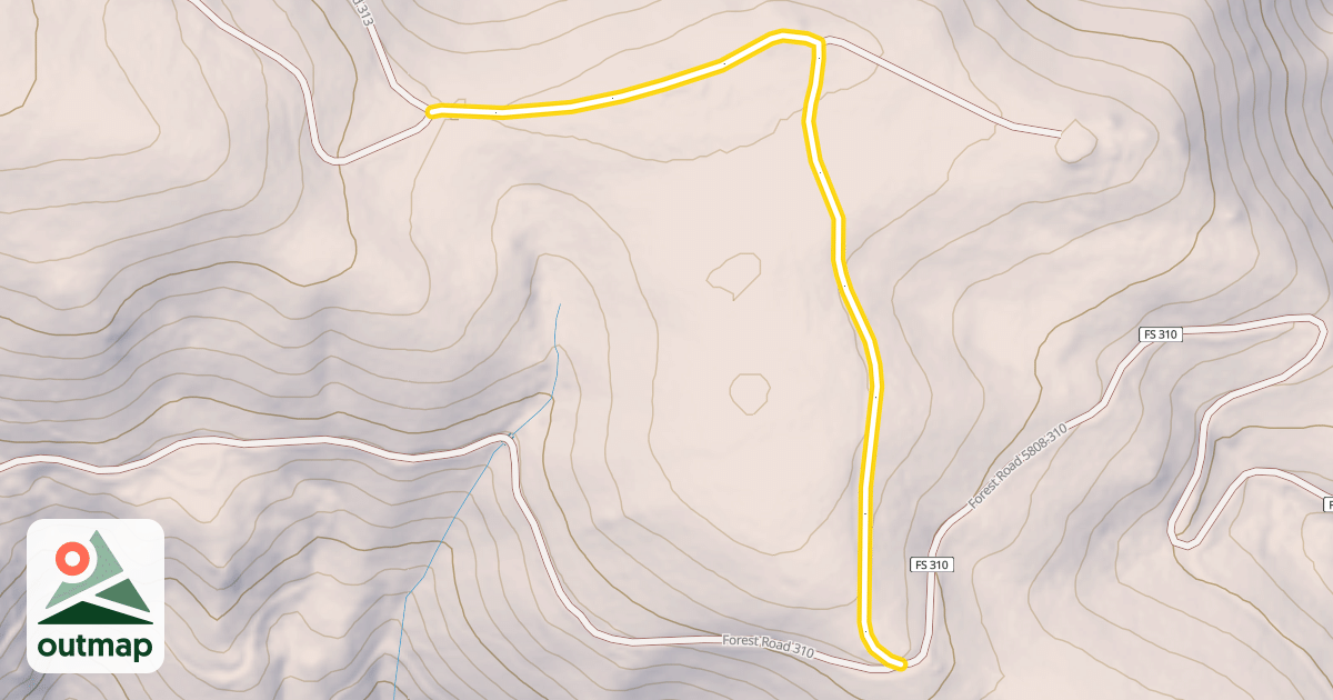 Map of Forest Road 313