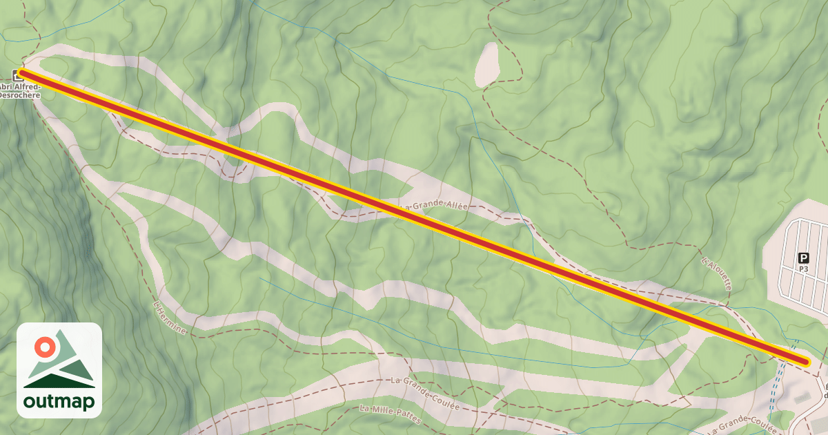 Map of 5-Quad Alfred D.
