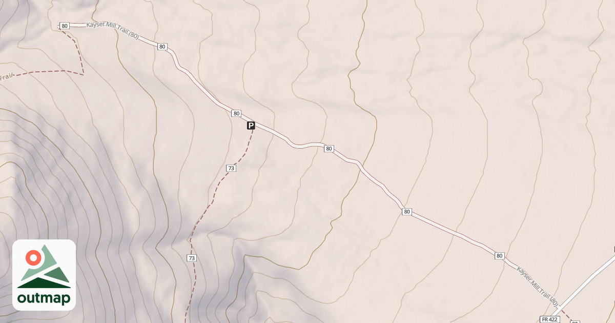 Map of USFS National Forest System Roads {50720834-93C4-453C-BCC7-91F4E0F759D7}