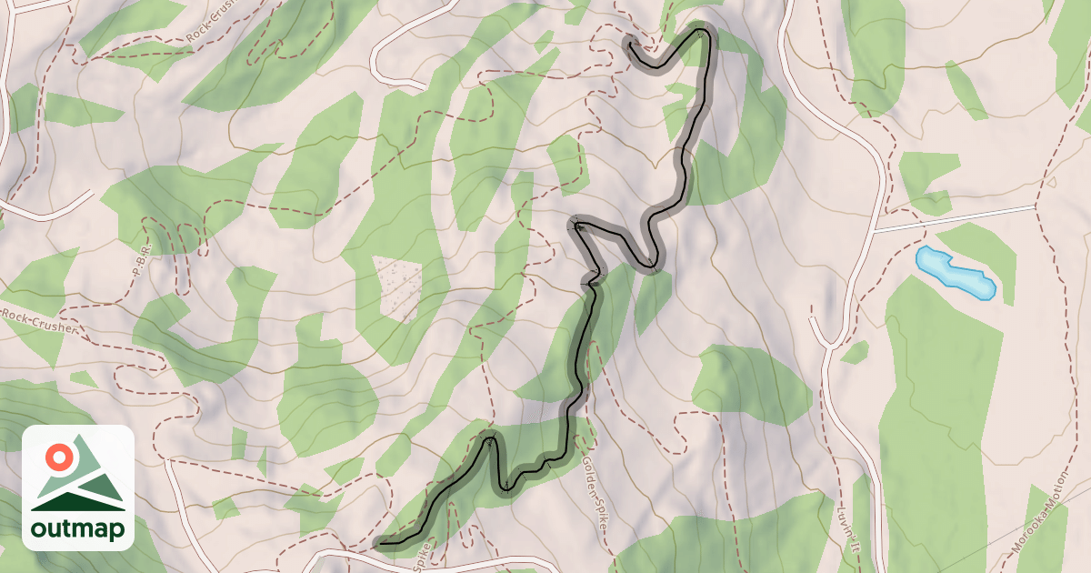 Map of Slingshot Wookie