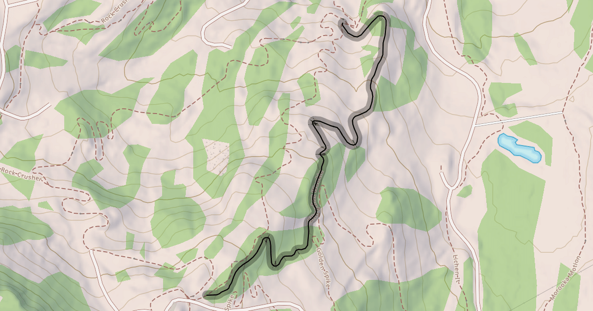 Map preview of Slingshot Wookie