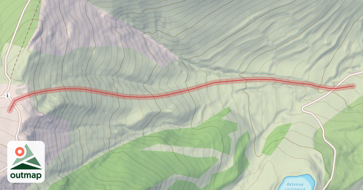 Map of Face