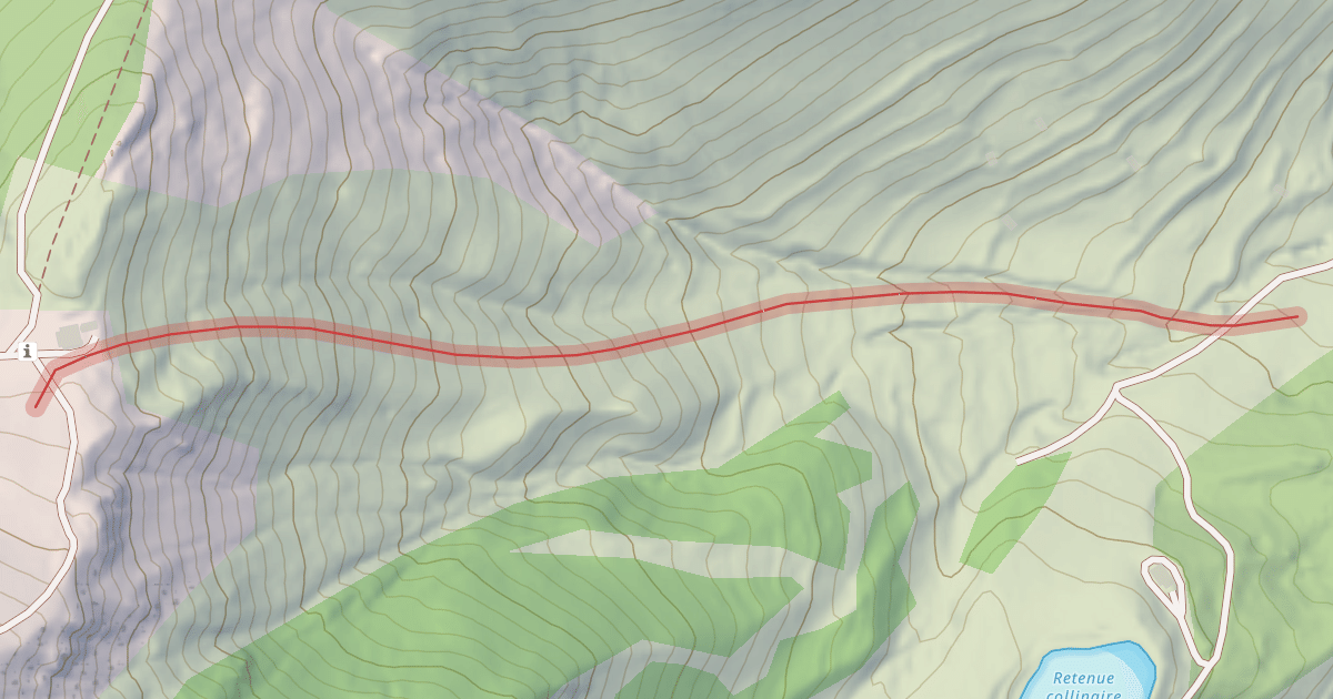 Map preview of Face