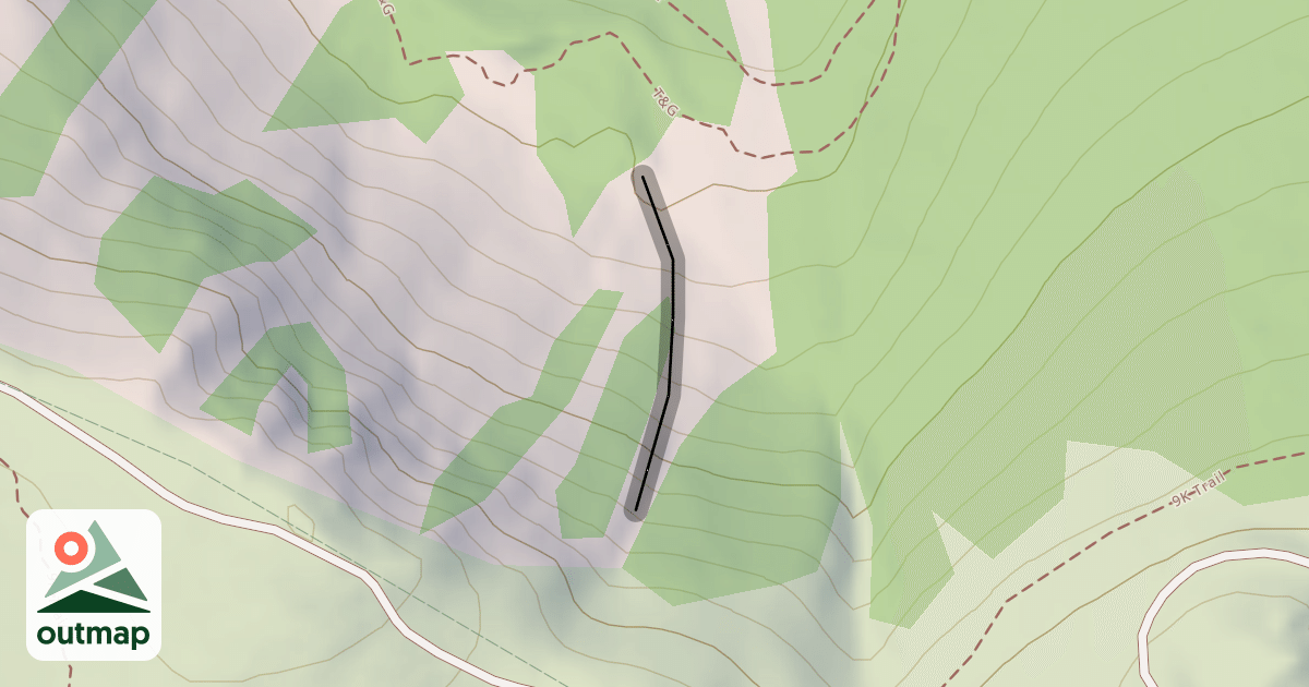 Map of Daly Chute 8