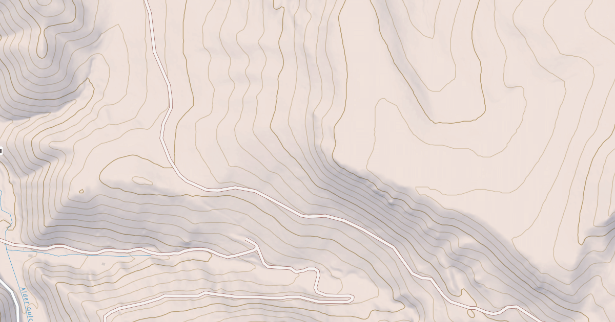 Map preview of BLM National GTLF Public Motorized Roads b22fcba5-e981-409b-97a5-71101c362392