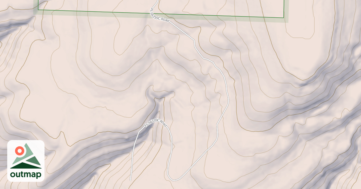 Map of USFS National Forest System Roads {5AB4EEF6-EB1F-4CDD-86D9-03BD13266AA9}