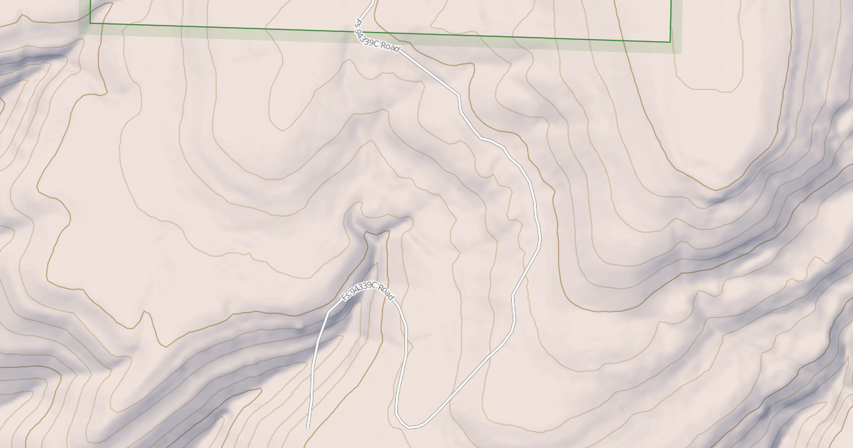 Map preview of USFS National Forest System Roads {5AB4EEF6-EB1F-4CDD-86D9-03BD13266AA9}