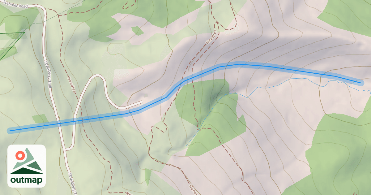Map of Sun King