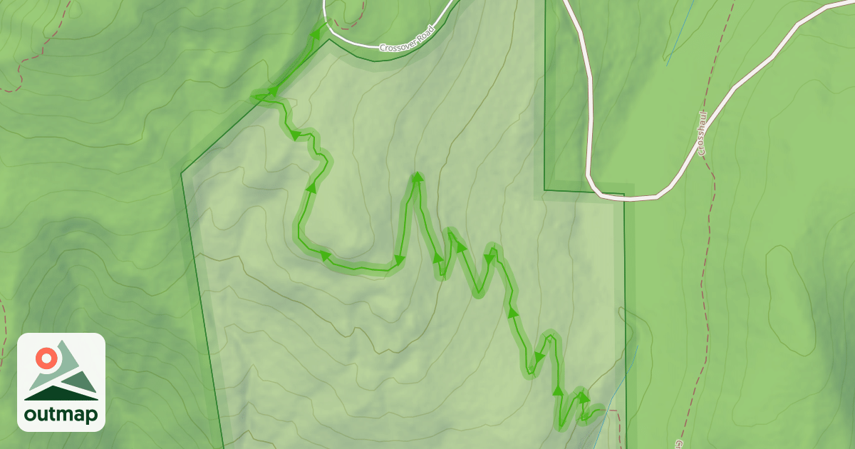 Map of Master Link