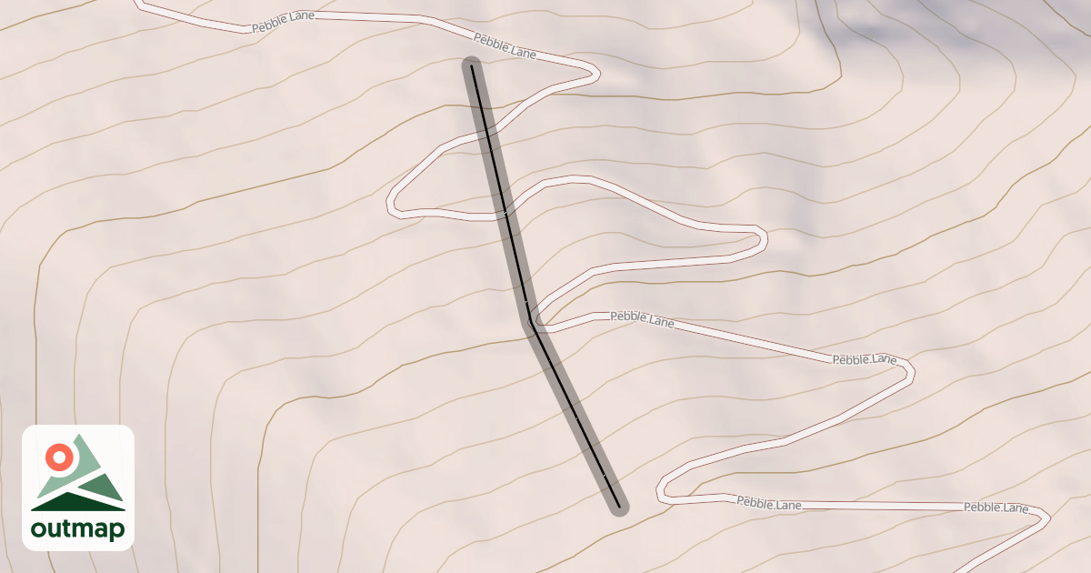 Map of The Woods