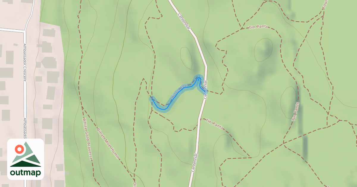 Map of Disco Boy