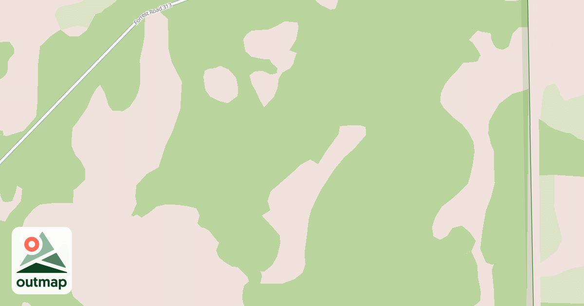 Map of USFS National Forest System Roads {E17A87AA-70B6-4FD3-8569-EE6E7D9C7B04}