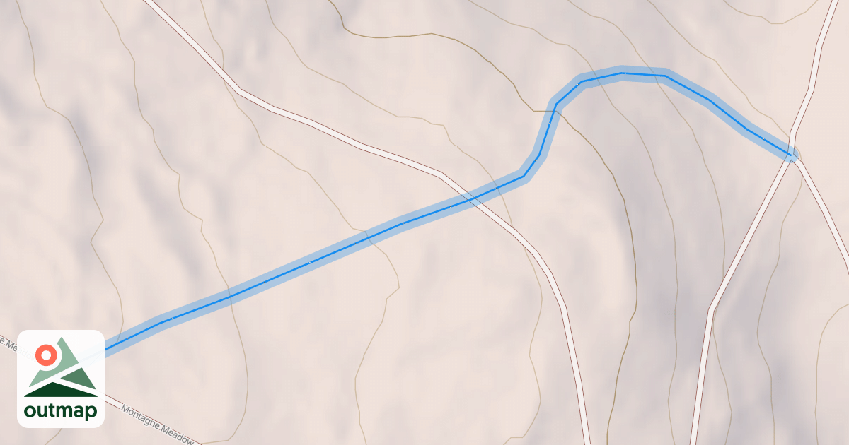 Map of Crazy Woman
