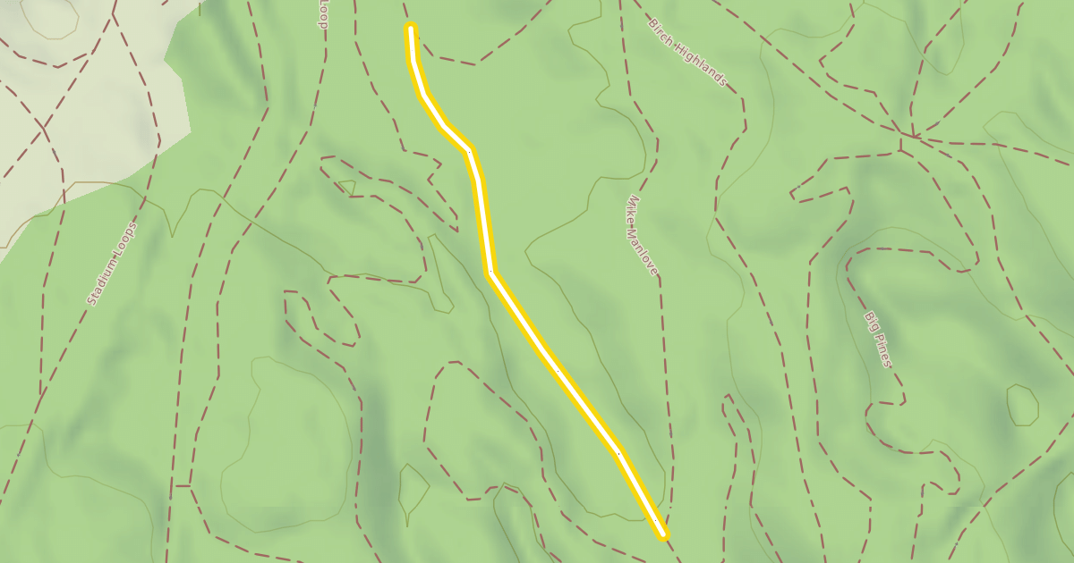 Map preview of Pine Valley