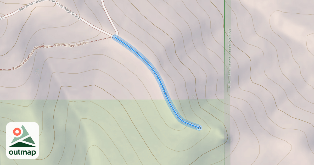 Map of Lookout Trail