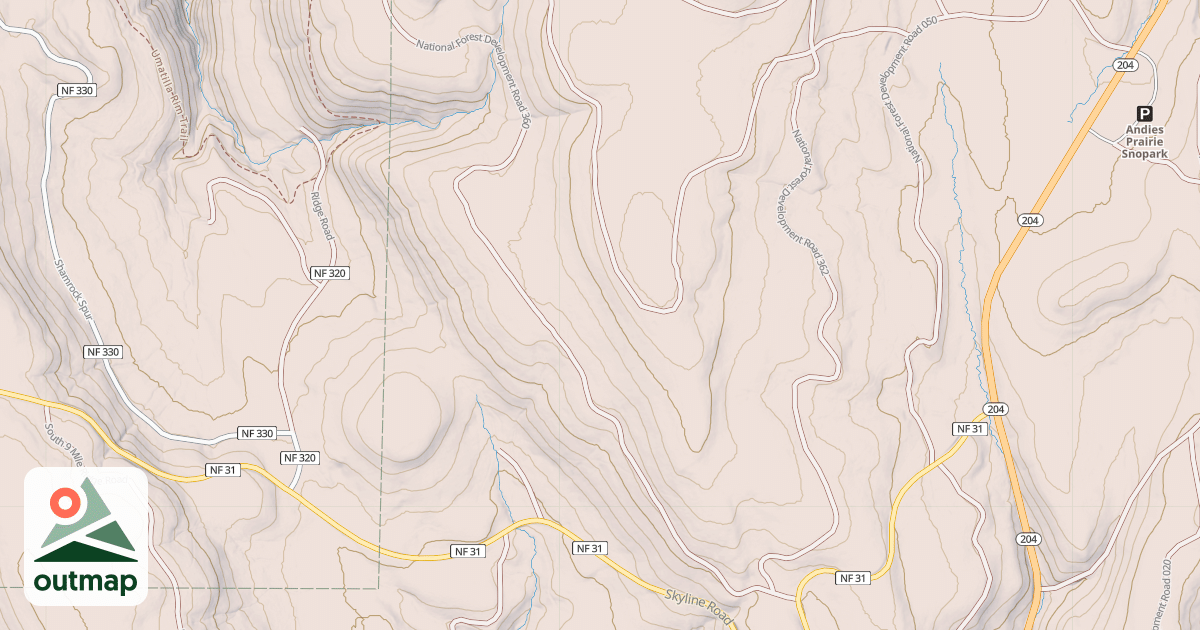 Map of USFS National Forest System Roads {202AFC9C-771B-407D-AD24-DEA795D1324B}