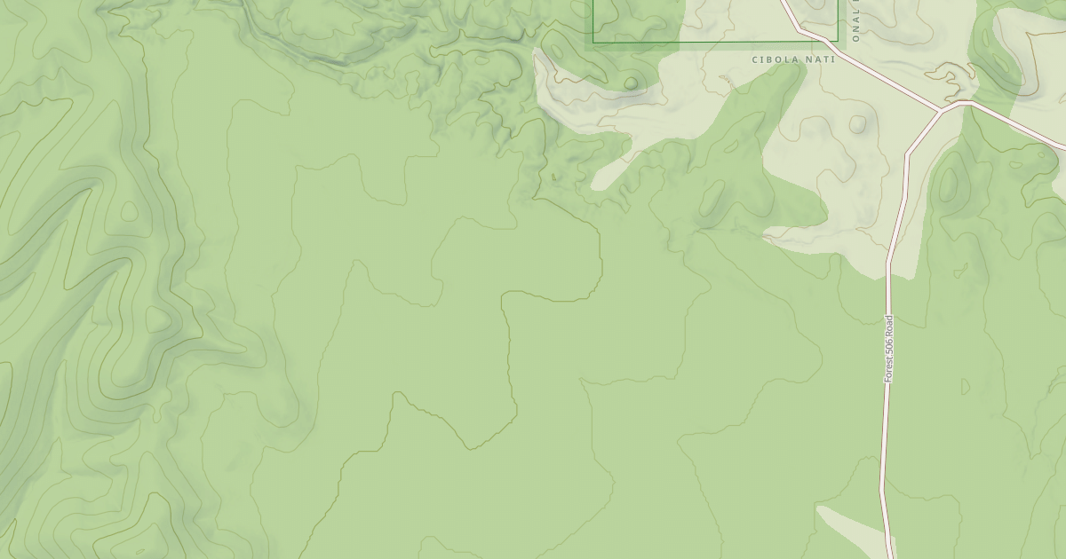 Map preview of USFS National Forest System Roads {03EB885F-C7FA-444E-A093-FEB7DF26016C}