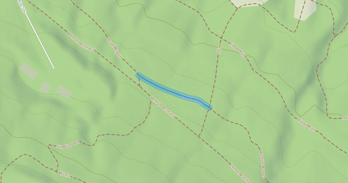 Map preview of Beaver Fever