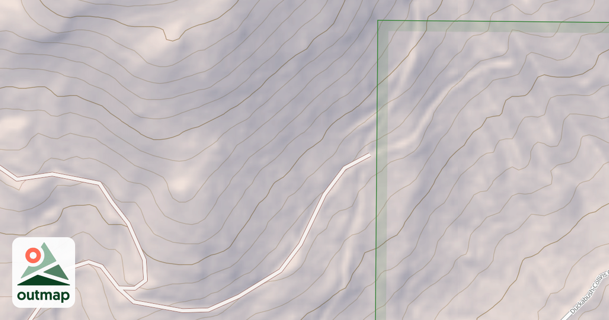 Map of USFS National Forest System Roads {97BF9485-5C9A-4985-BC3C-2C573B8BFC18}