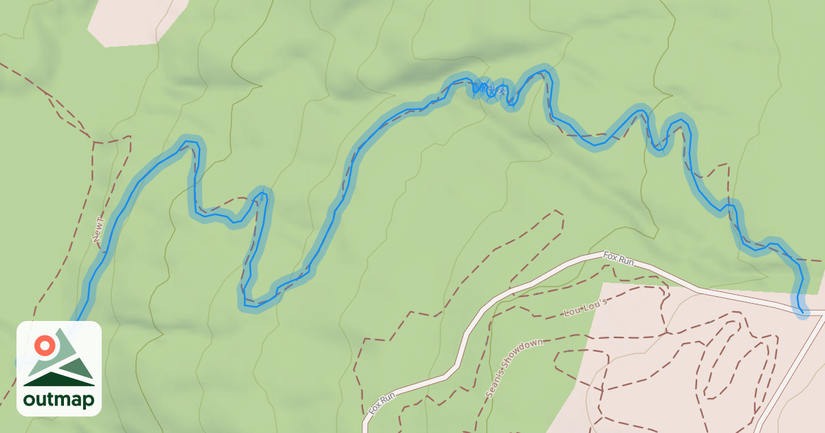 Map of NewT