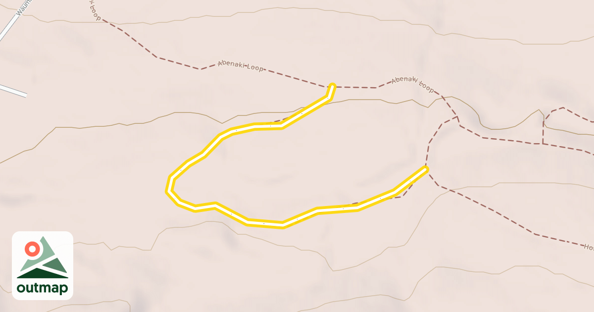 Map of Penny Lane