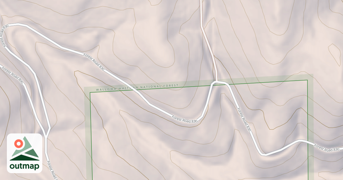Map of USFS National Forest System Roads {4C9A27DA-348E-4397-9988-E4E0D13DD725}