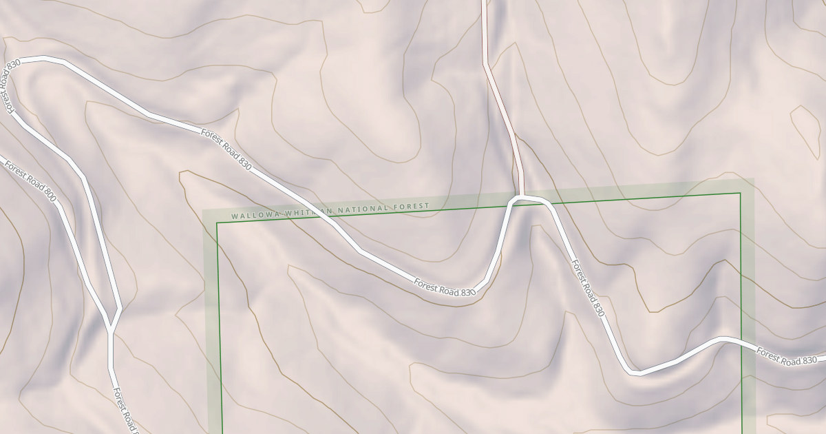 Map preview of USFS National Forest System Roads {4C9A27DA-348E-4397-9988-E4E0D13DD725}