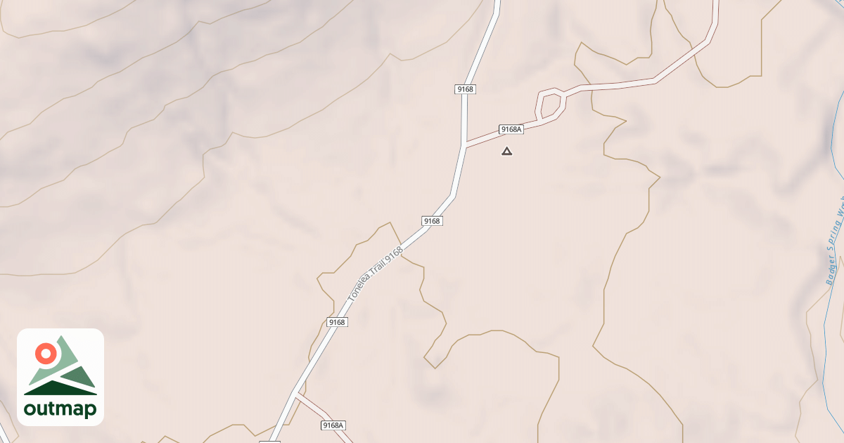 Map of BLM National GTLF Public Motorized Roads 0c860694-0f2d-4c28-a757-150dcf817721
