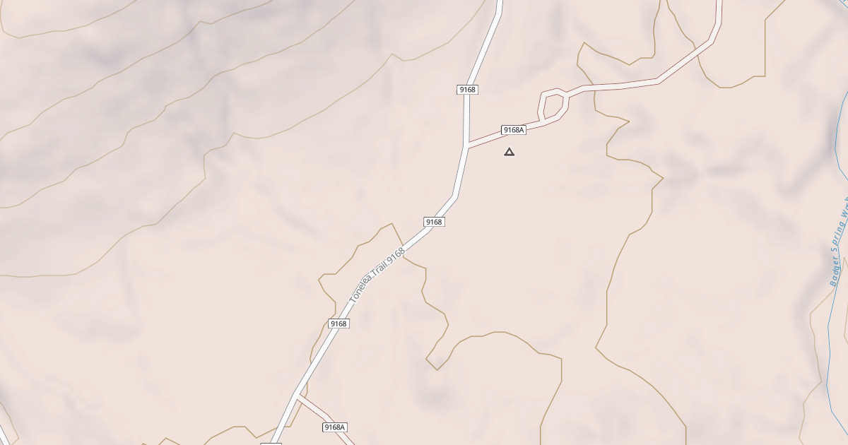 Map preview of BLM National GTLF Public Motorized Roads 0c860694-0f2d-4c28-a757-150dcf817721