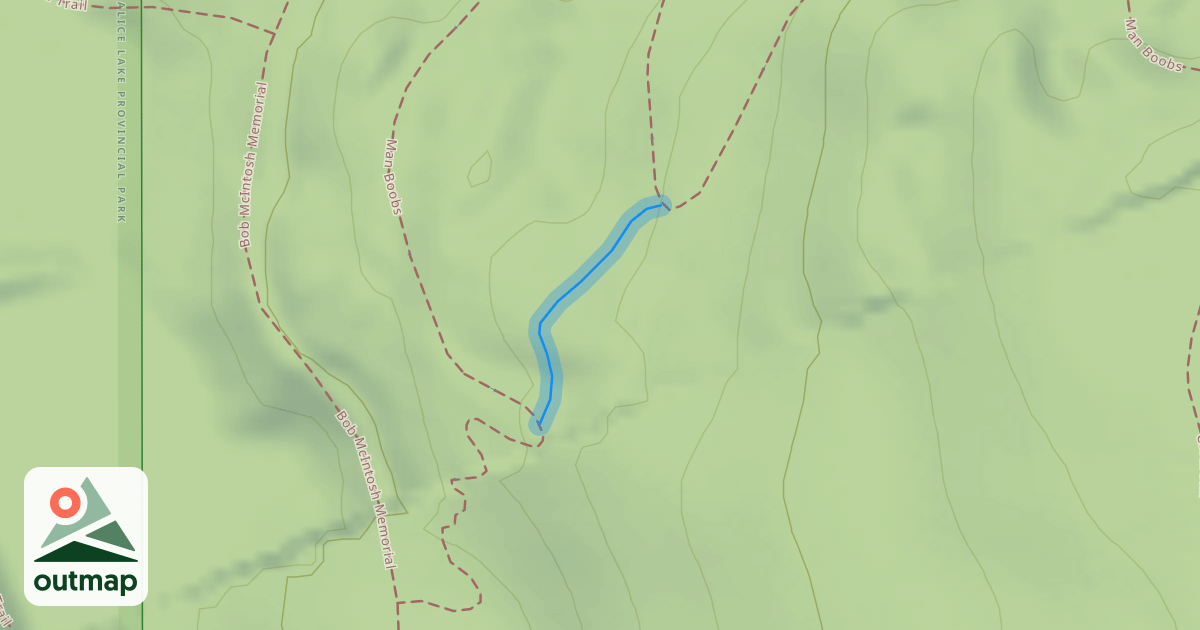 Map of Man Boobs