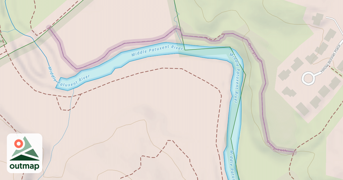 Map of Overgrowth