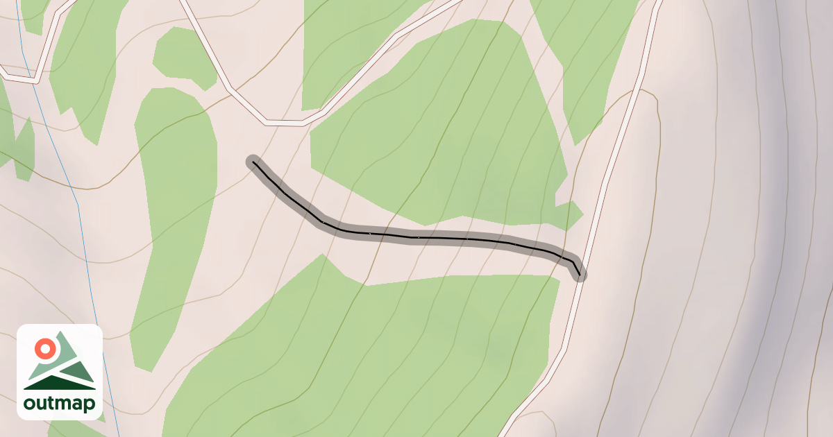 Map of Suzi Q.
