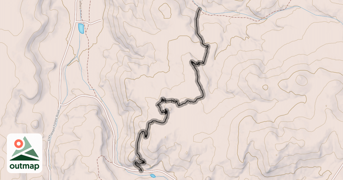Map of Dirty Sock
