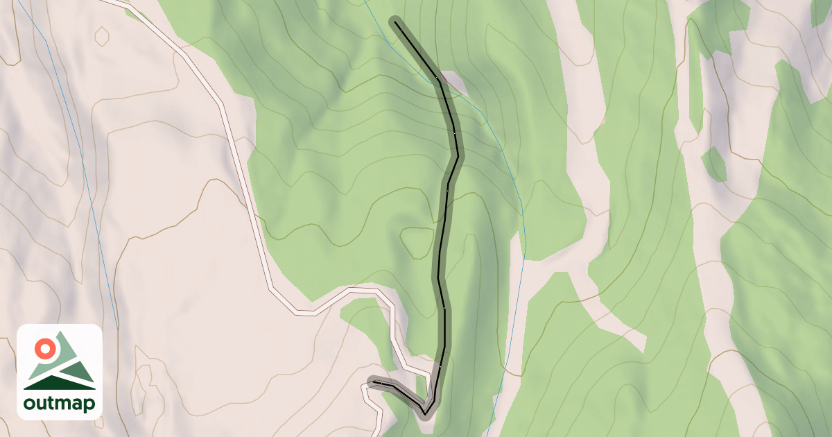 Map of Old Faithful
