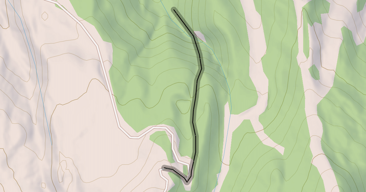 Map preview of Old Faithful