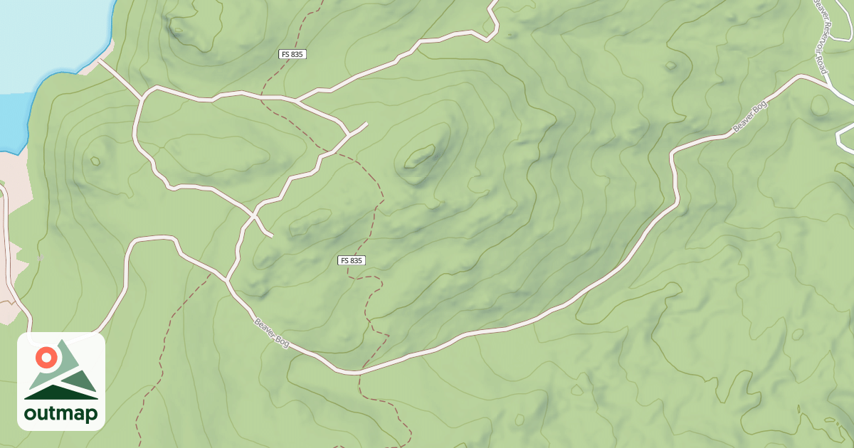 Map of BEAVER BOG