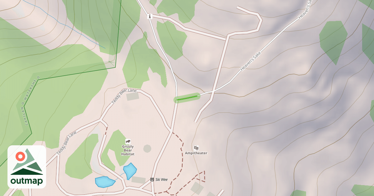 Map of Teddy Bear Lane