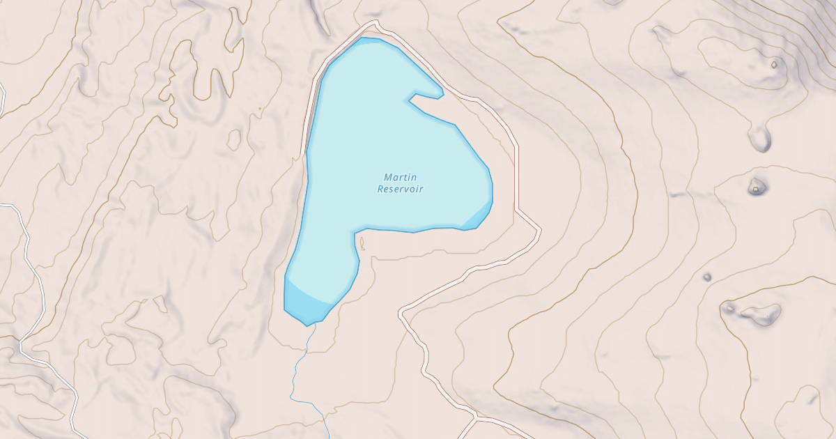 Map preview of MARTIN RESERVOIR
