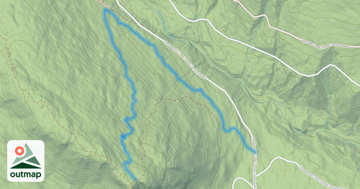 Map of Bigwood