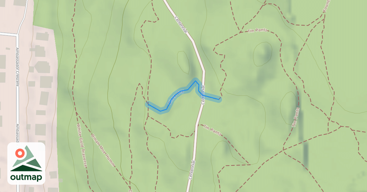 Map of Disco Boy