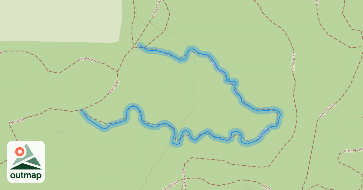 Map of Speedway