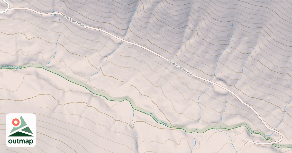 Map of USFS National Forest System Roads {82BB2735-AD90-454B-AC33-5A9322517BB2}