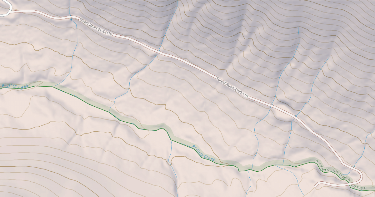 Map preview of USFS National Forest System Roads {82BB2735-AD90-454B-AC33-5A9322517BB2}